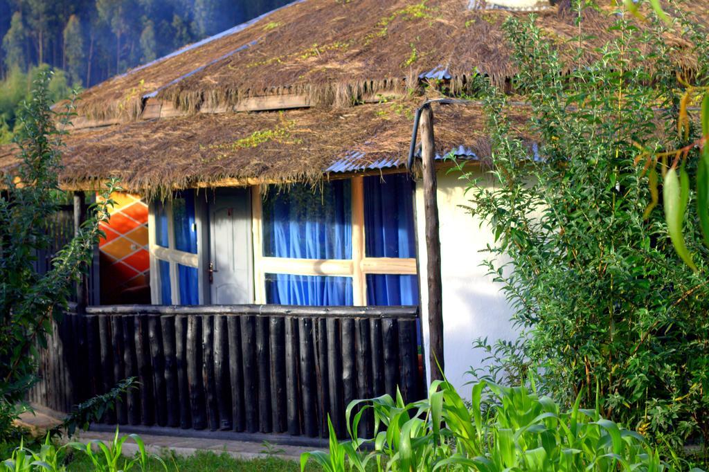 Le Bambou Gorilla Lodge Kinigi Zimmer foto