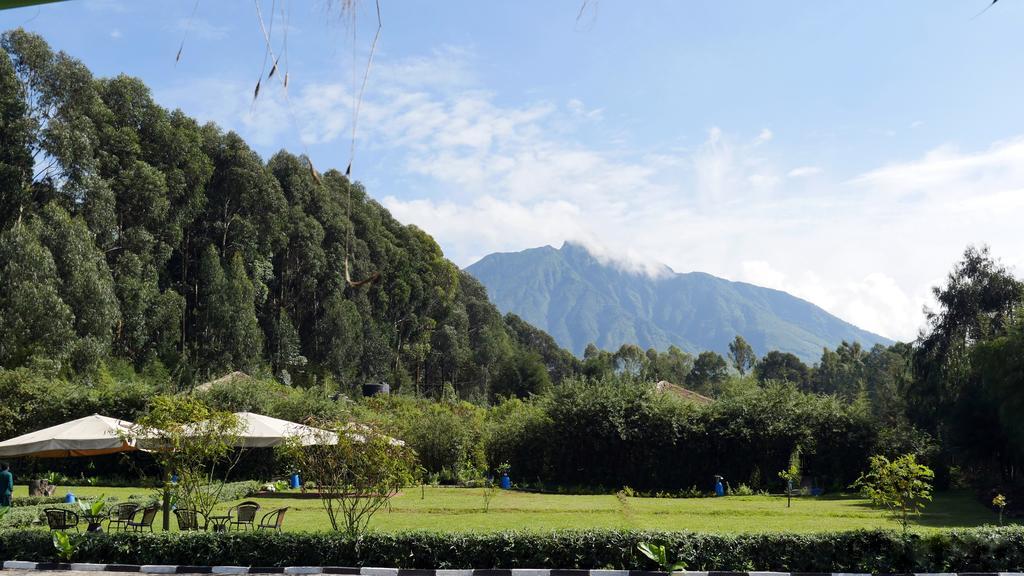 Le Bambou Gorilla Lodge Kinigi Exterior foto
