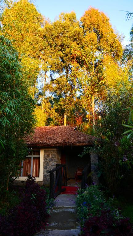 Le Bambou Gorilla Lodge Kinigi Exterior foto