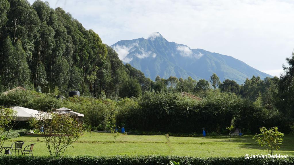 Le Bambou Gorilla Lodge Kinigi Exterior foto