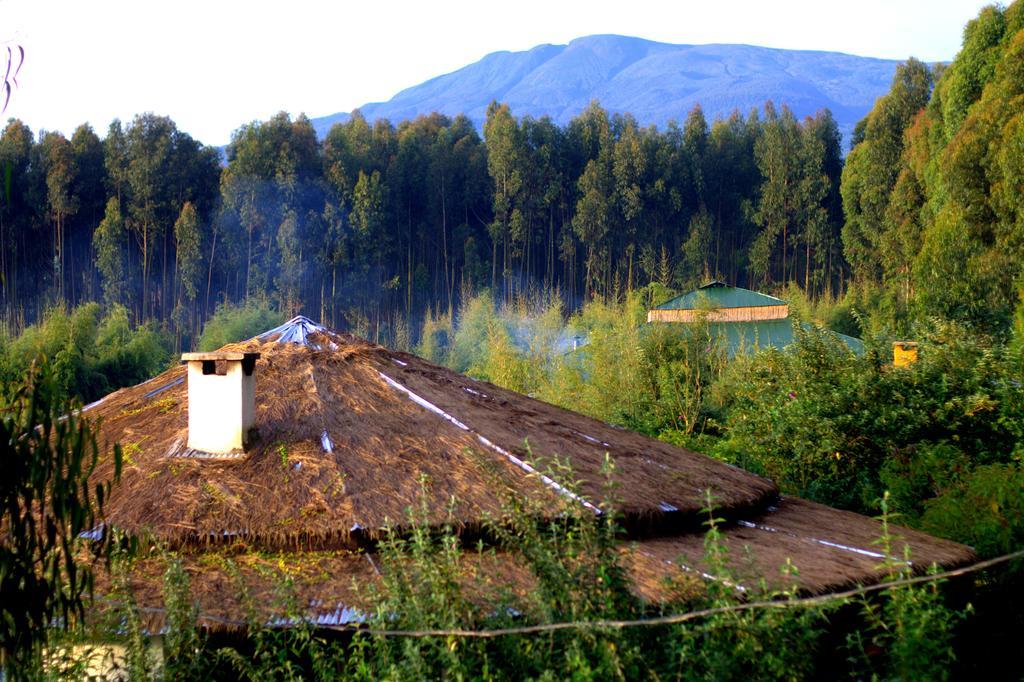 Le Bambou Gorilla Lodge Kinigi Exterior foto