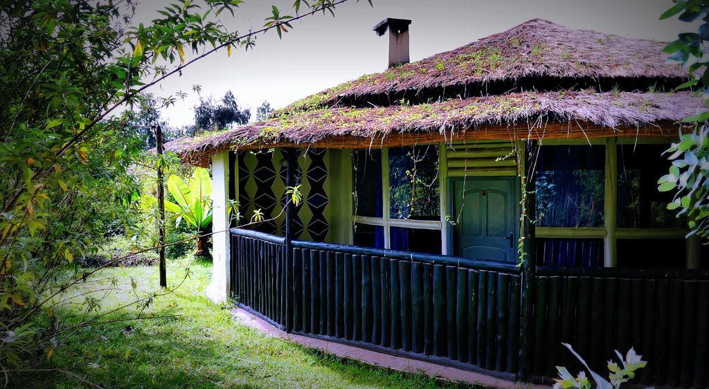 Le Bambou Gorilla Lodge Kinigi Exterior foto